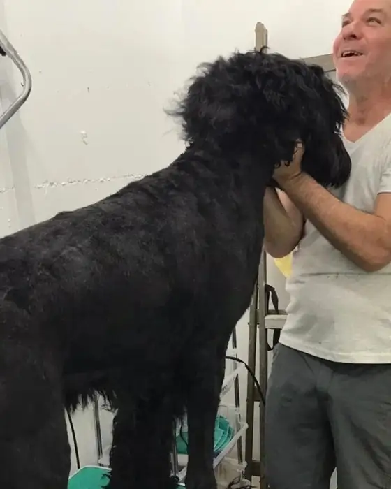 ישראל עם כלב שחור אחרי טיפוח - GrooMme מספרת כלבים בפרדס חנה